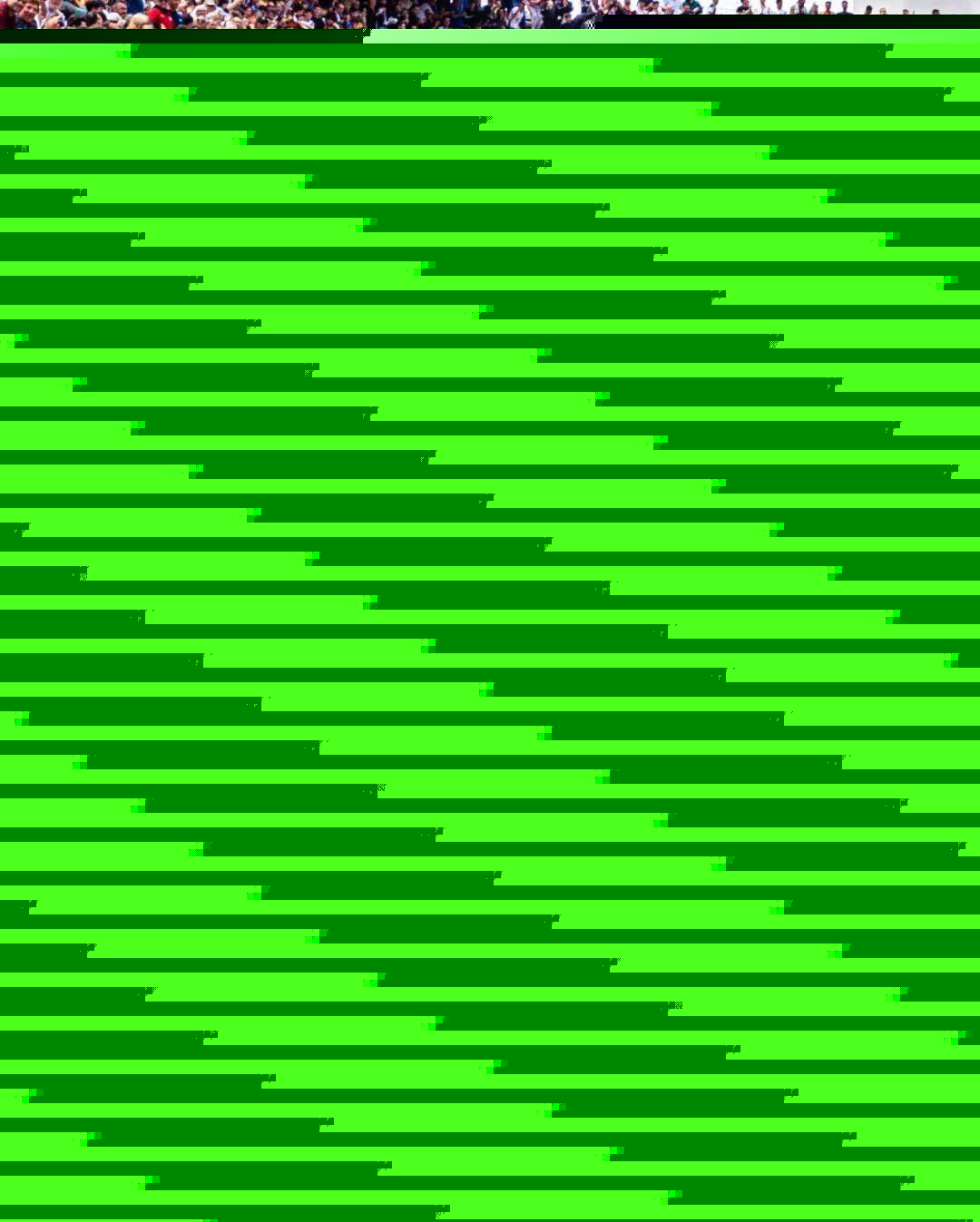 球迷们的激 球迷们的激