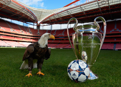 两位新星接 两位新星接