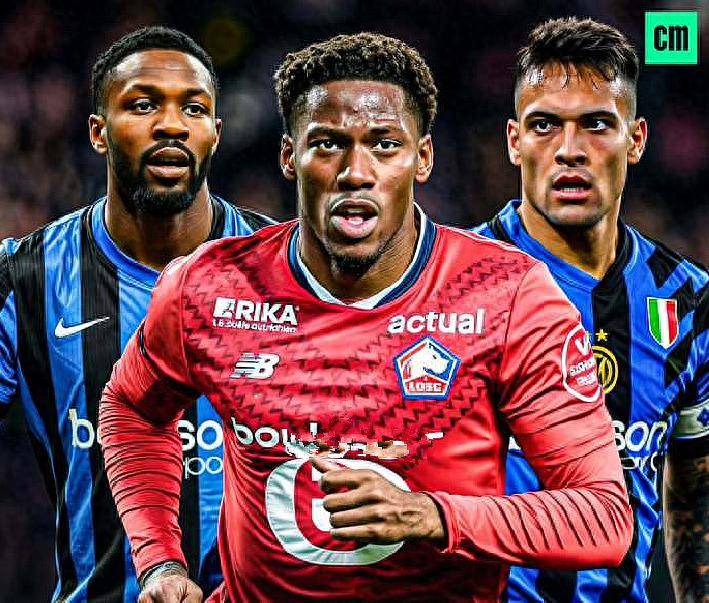 他在国际舞 他在国际舞